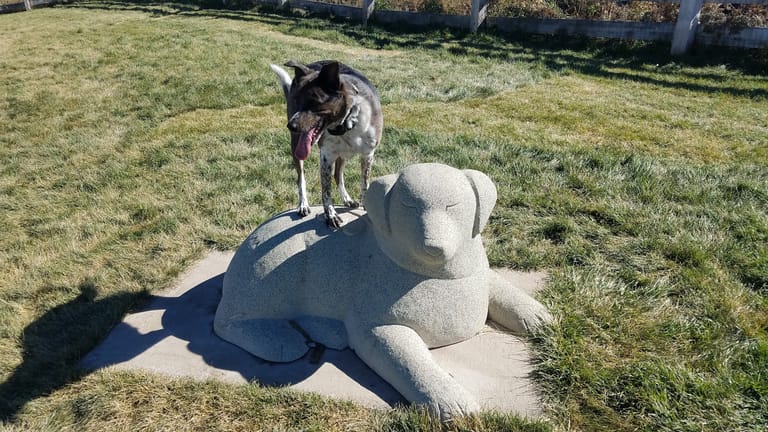 Douglas County Off-leash Area exterior entrance