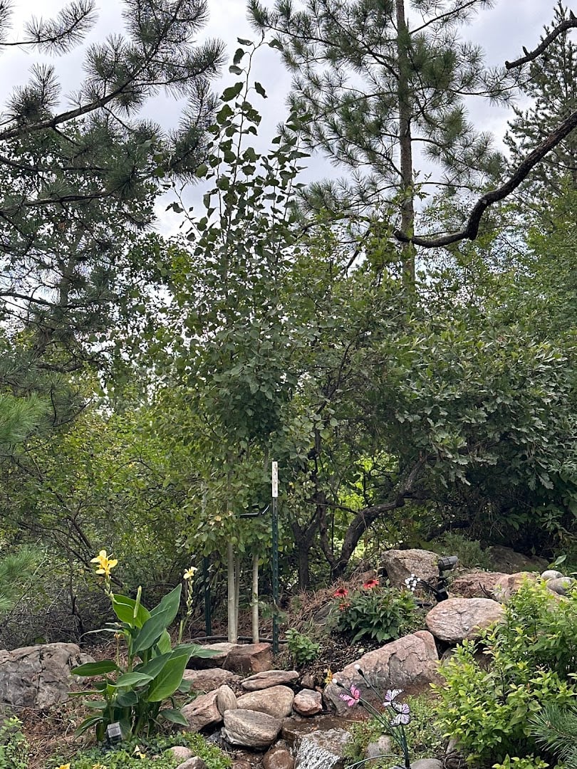 Front Range Landscape and Nursery atmosphere and seating