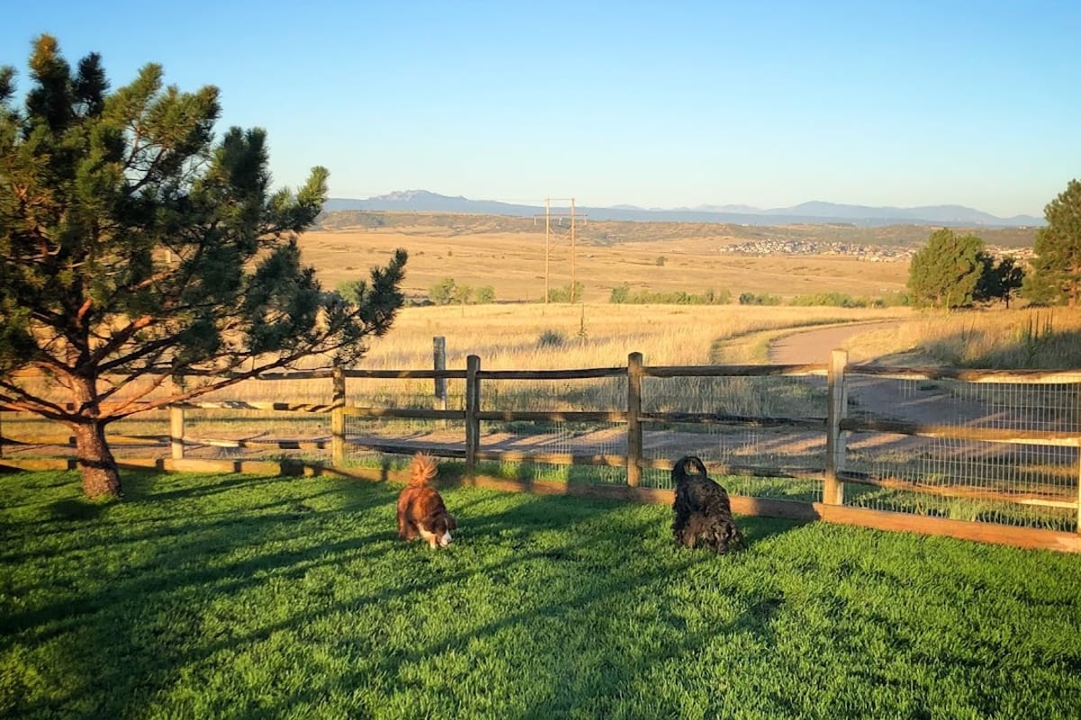 Bayou Gulch Dog Park atmosphere and seating