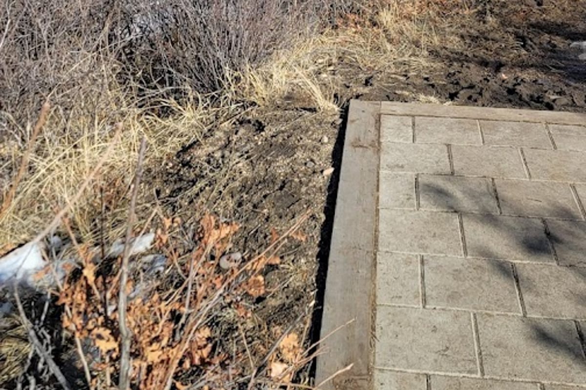Pronghorn Park and Disc Golf Course dining area