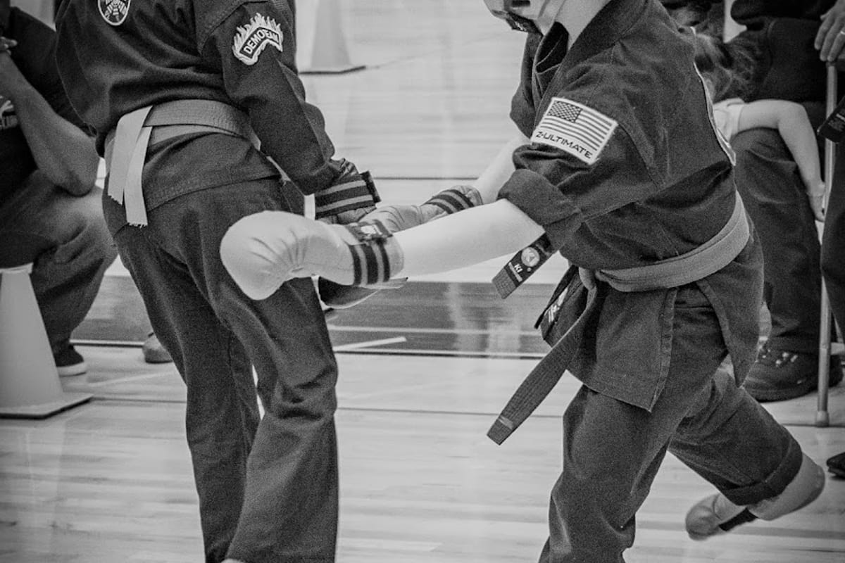 Z- Ultimate Self Defense Studios featured offerings