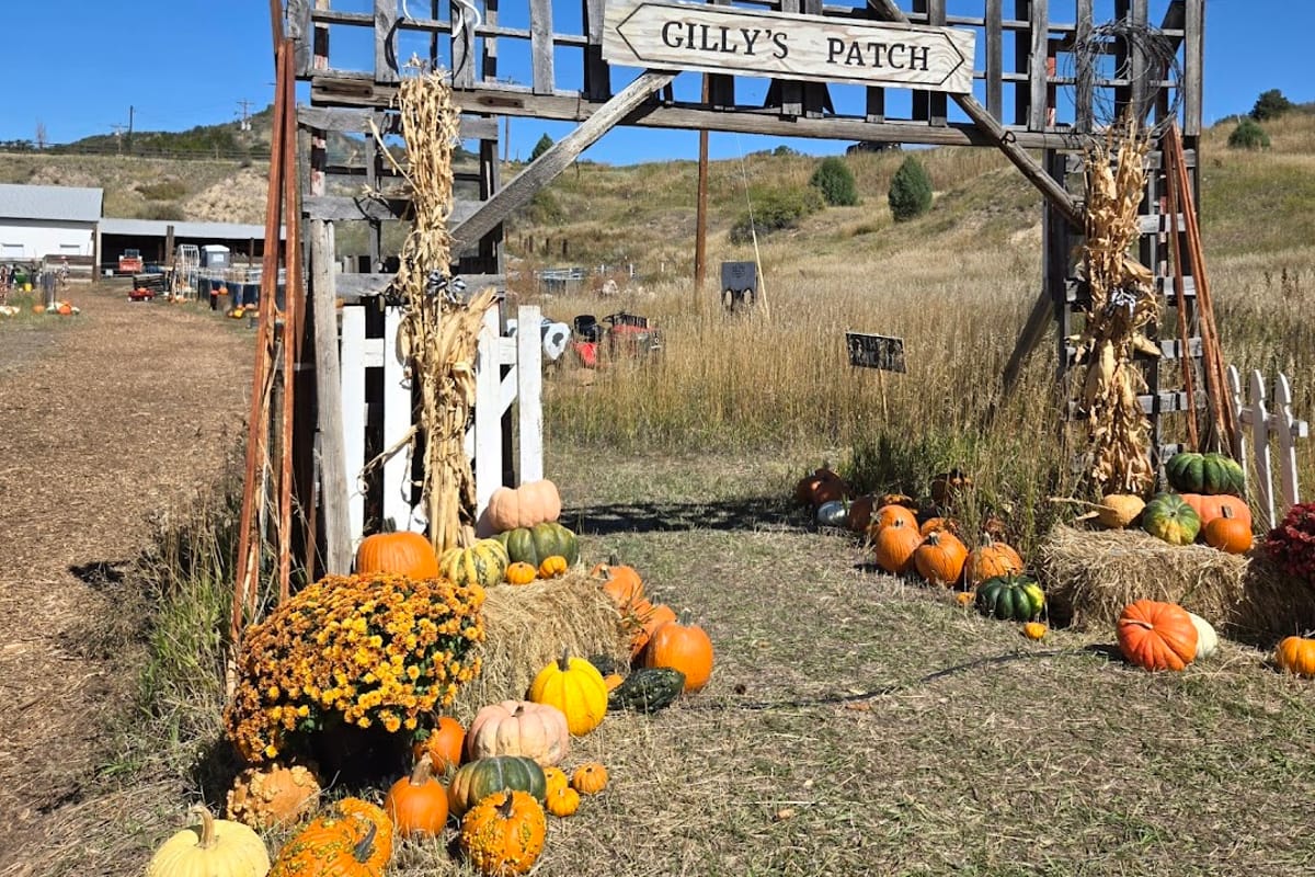 Gilly's Pumpkin Patch dining area