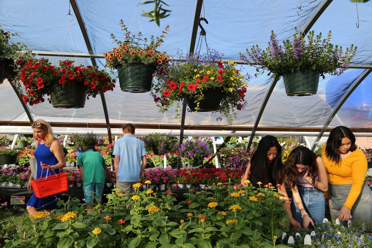Interior view of Plum Creek Garden Market