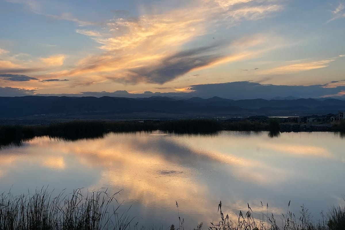 Windmill Pond featured offerings