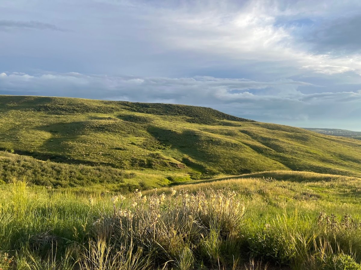 Bluffs Regional Park Trail atmosphere and seating