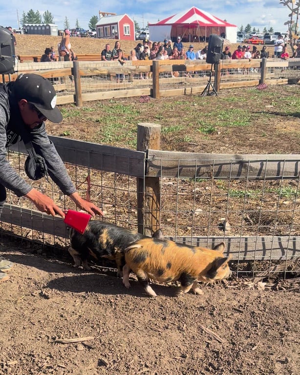 A handler rings a bell behind two racing pigs at the Lone Creek Farms pig races
