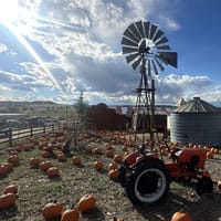 A windmill, an orange tractor and rows of pumpkins under a big Colorado sky at Lone Creek Farms in Franktown