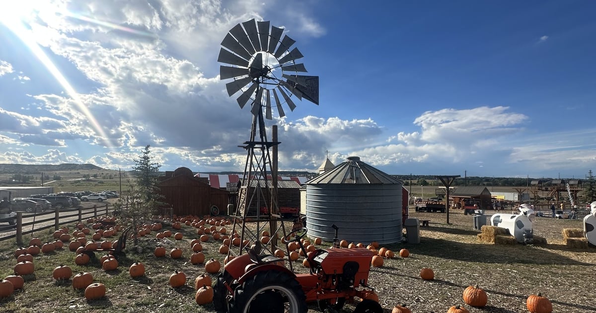 A windmill, an orange tractor and rows of pumpkins under a big Colorado sky at Lone Creek Farms in Franktown