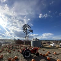 A windmill, an orange tractor and rows of pumpkins under a big Colorado sky at Lone Creek Farms in Franktown
