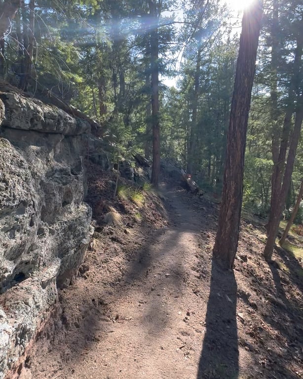 Golden evening light on the Big Bear Hollow trail at Lost Canyon Ranch Open Space, Castle Rock