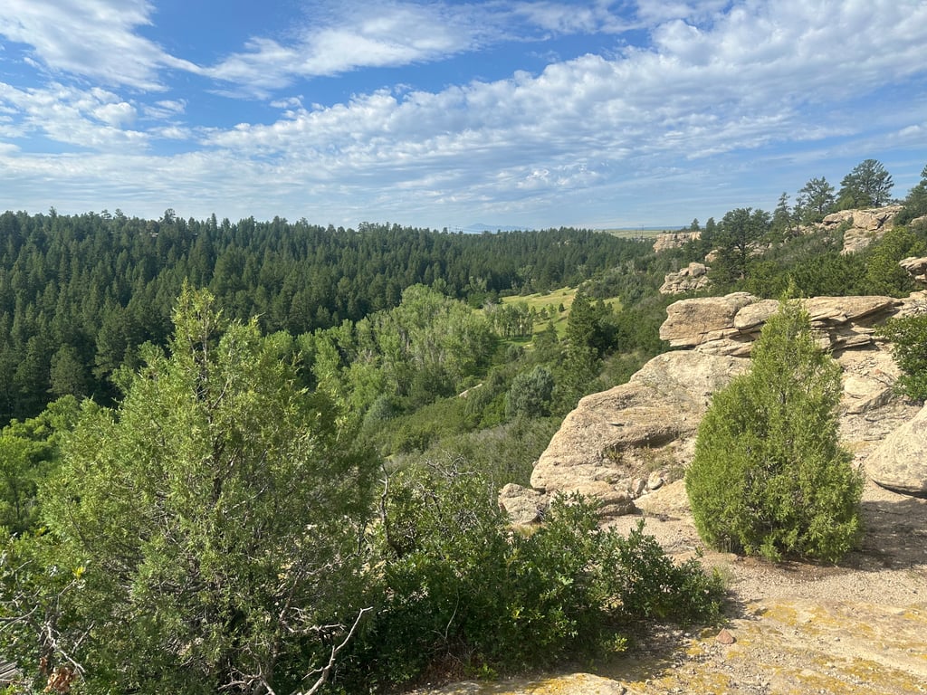 Canyon cliffs and ponderosa forest at Lost Canyon Ranch Open Space, Castle Rock