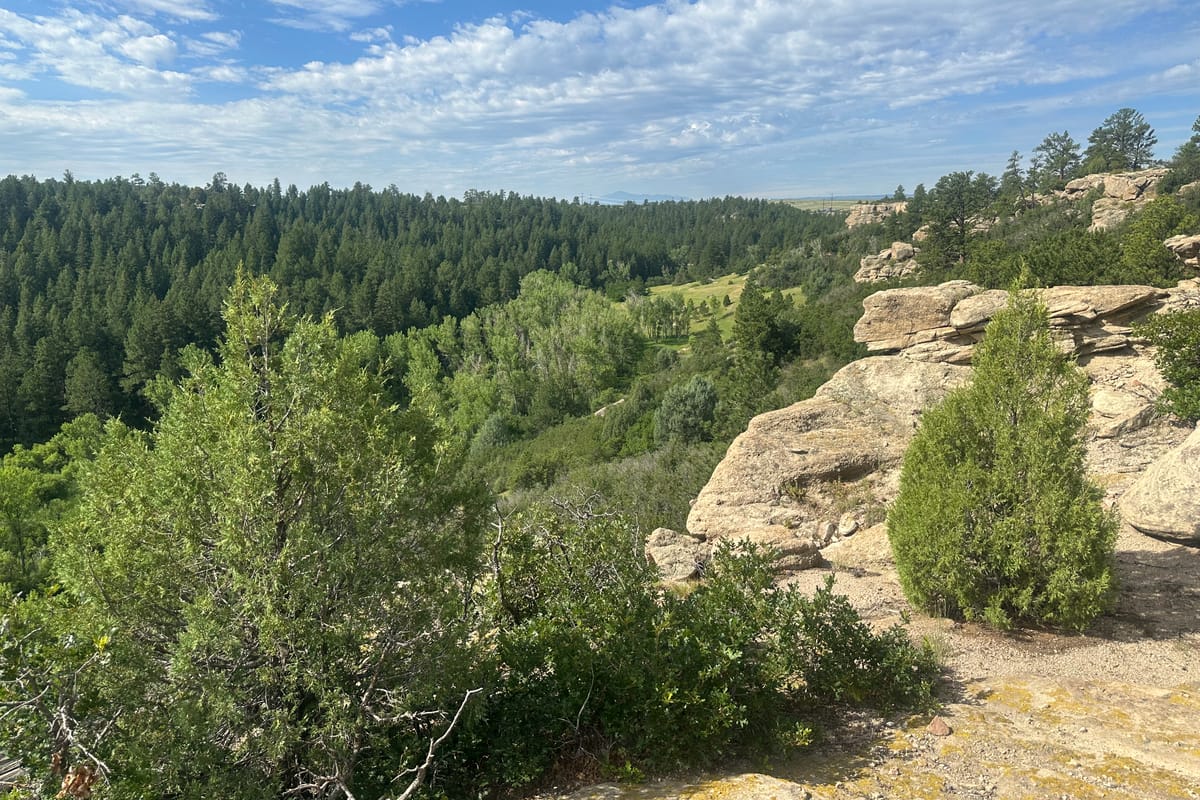 Canyon cliffs and ponderosa forest at Lost Canyon Ranch Open Space