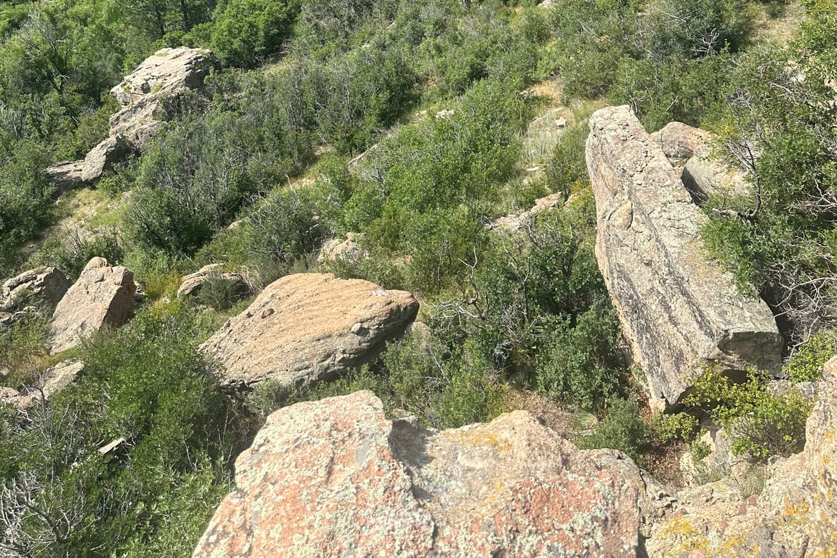 Looking down into Lost Canyon from the rim