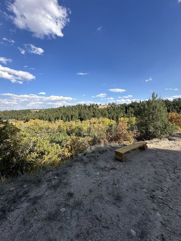A wooden bench on the road up to Golden Eagle Loop, overlooking fall color along Willow Creek at Lost Canyon Ranch Open Space, Castle Rock