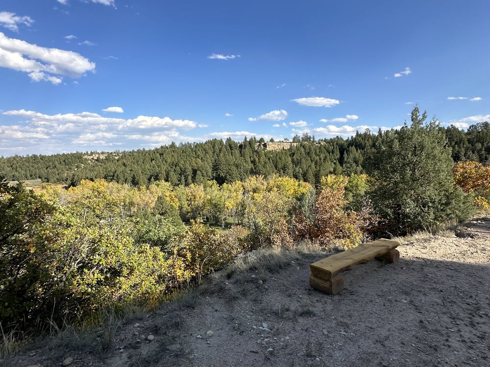 A wooden bench on the road up to Golden Eagle Loop, overlooking fall color along Willow Creek at Lost Canyon Ranch Open Space in Castle Rock