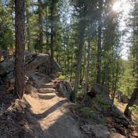 A sunlit trail climbing through pines and rock steps at Lost Canyon Ranch Open Space, Castle Rock