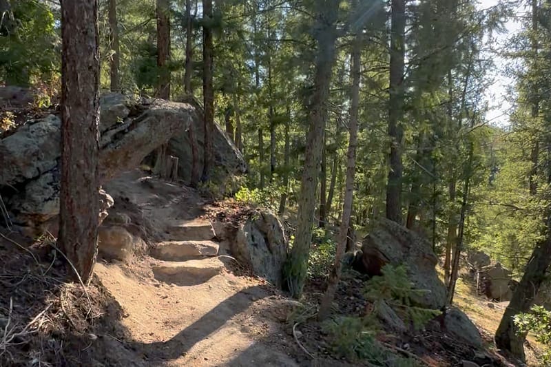A sunlit trail climbing through pines and rock steps at Lost Canyon Ranch Open Space, Castle Rock