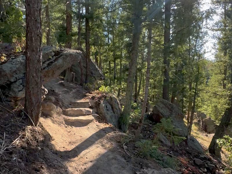 A sunlit trail climbing through pines and rock steps at Lost Canyon Ranch Open Space, Castle Rock