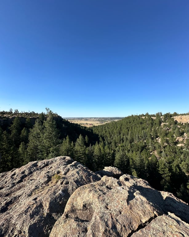 The overlook on Big Bear Hollow at Lost Canyon Ranch Open Space, looking north and east across the forest and canyon, Castle Rock