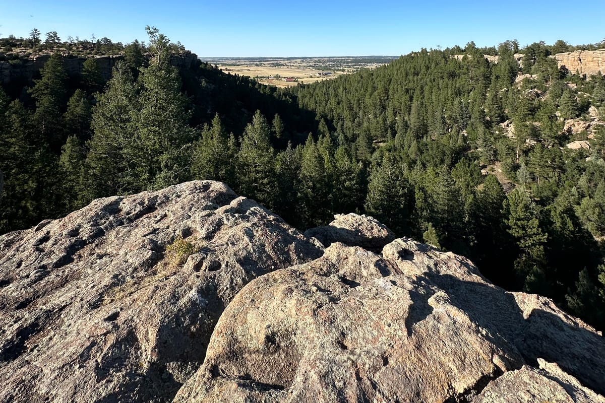 The overlook on Big Bear Hollow at Lost Canyon Ranch Open Space, looking north and east across the forest and canyon, Castle Rock