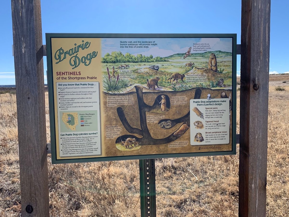 Hidden Mesa Open Space featured offerings