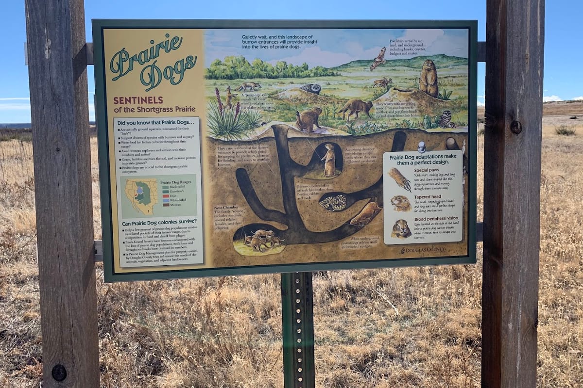 Hidden Mesa Open Space featured offerings