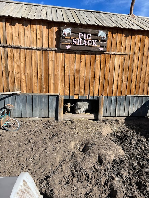 Lone Creek Farms