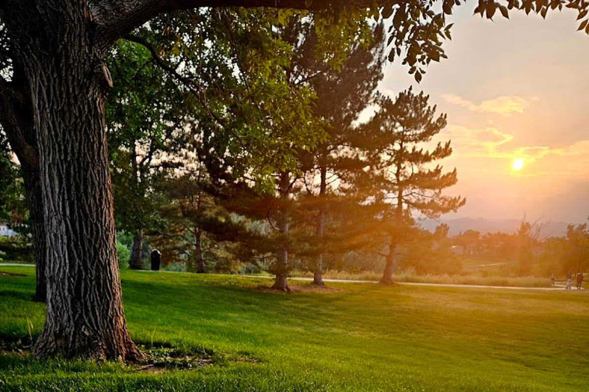 Kistler Park featured offerings
