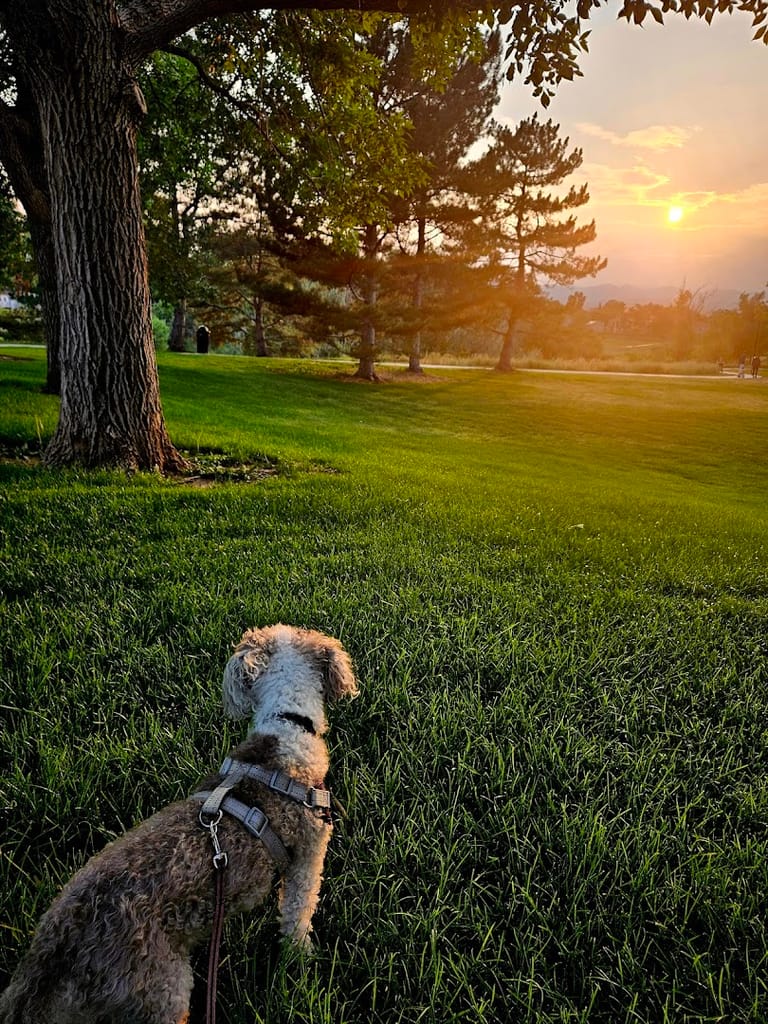 Kistler Park featured offerings