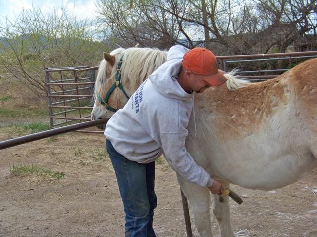 Stockton's Plum Creek Stables atmosphere and seating
