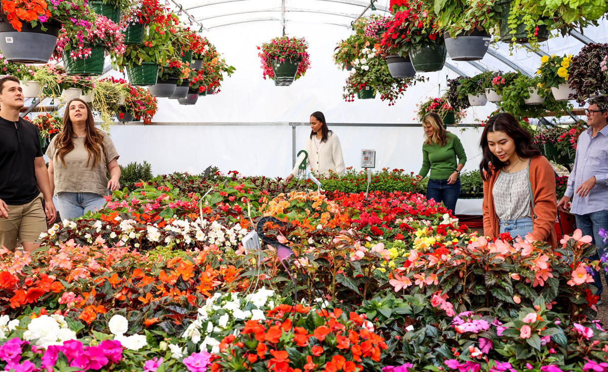 Plum Creek Garden Market