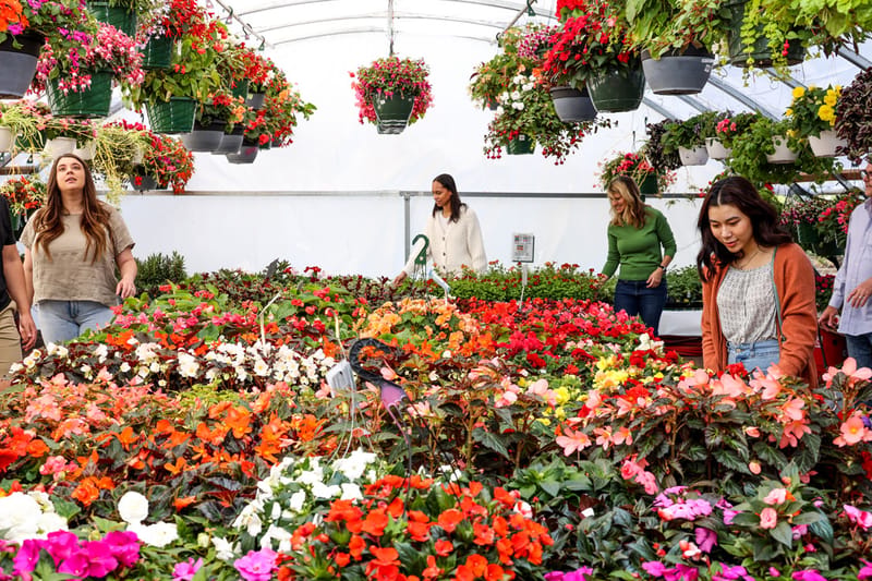 Plum Creek Garden Market retail store in Castle Rock, Colorado
