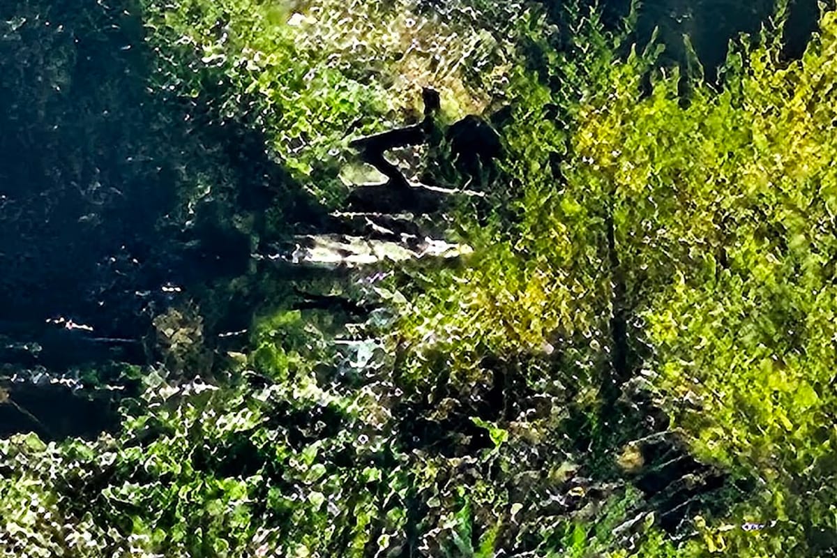 Sellars Gulch Trail dining area
