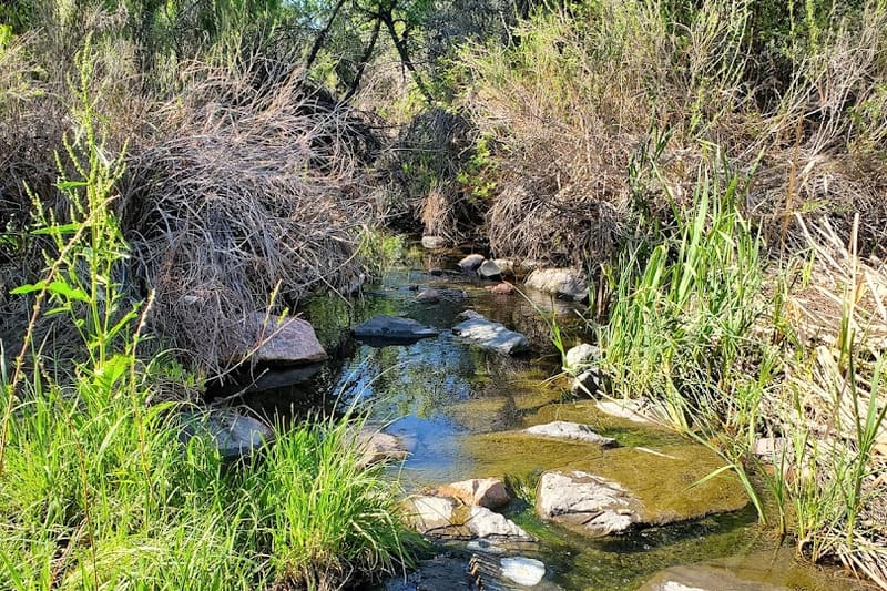 Marcy Park park in Highlands Ranch, Colorado