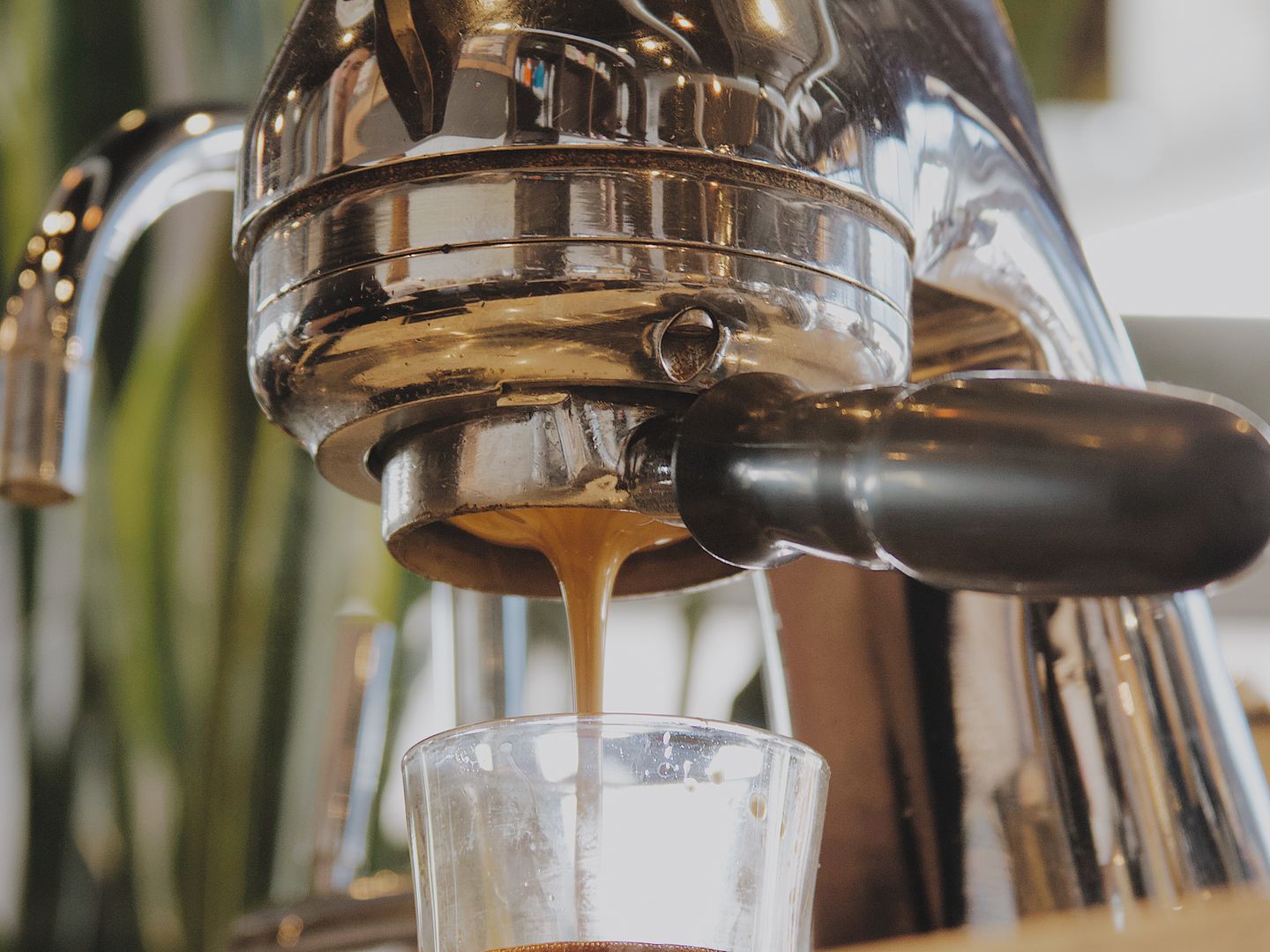 Nixon's Coffee House coffee shop in Highlands Ranch, Colorado