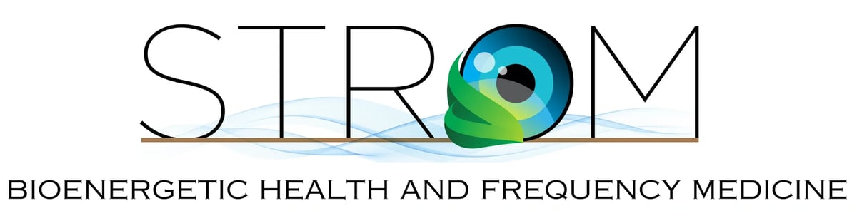 Bioenergetic Health at Wellness Grove atmosphere and seating