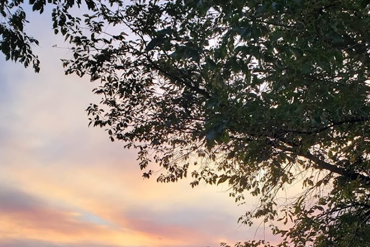 Timberline Park featured offerings