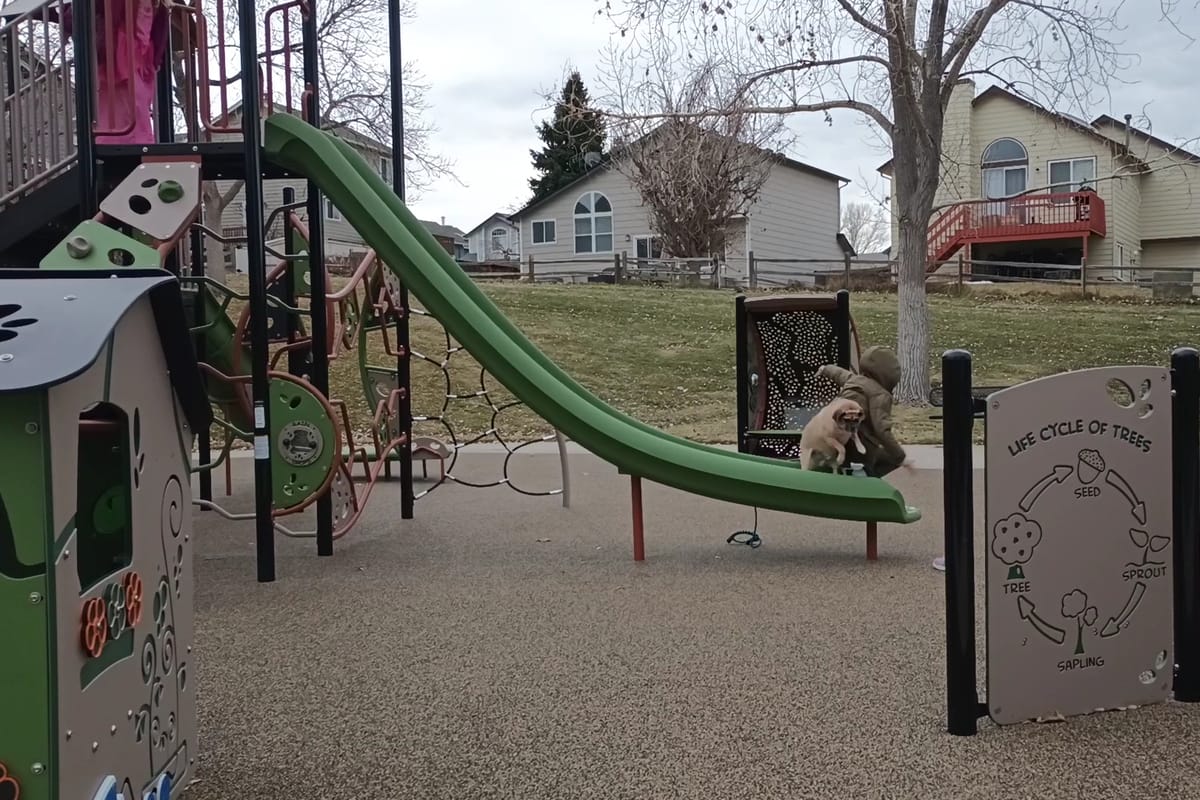 Welte Park featured offerings