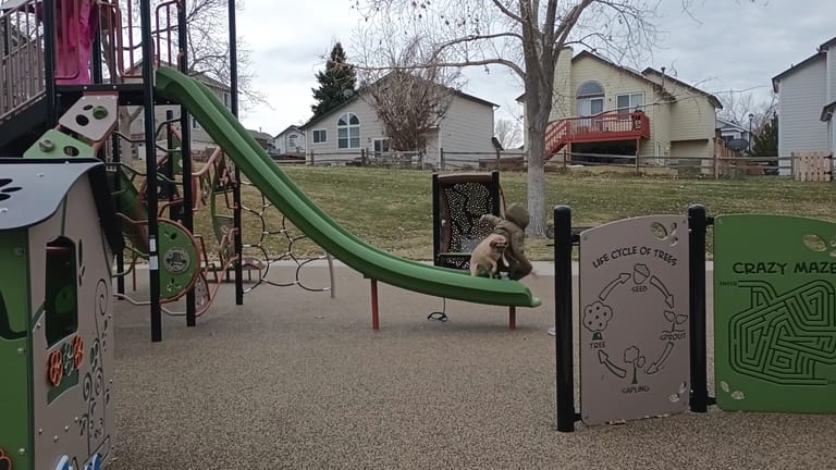 Welte Park featured offerings
