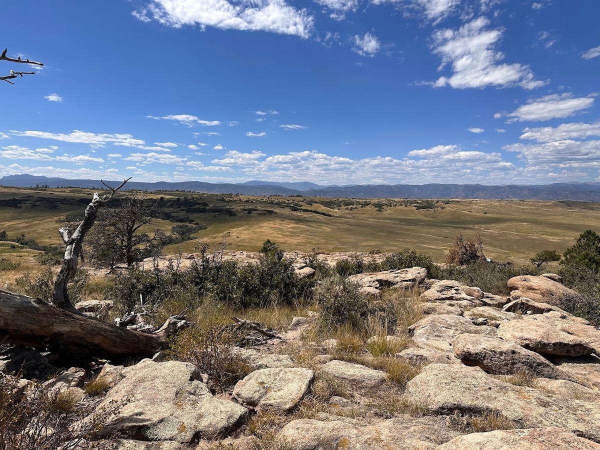 Wildcat Mountain park in Lone Tree, Colorado