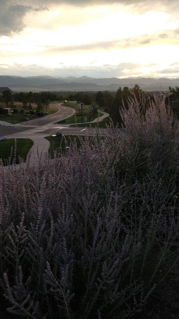 Overlook Park park in Highlands Ranch, Colorado