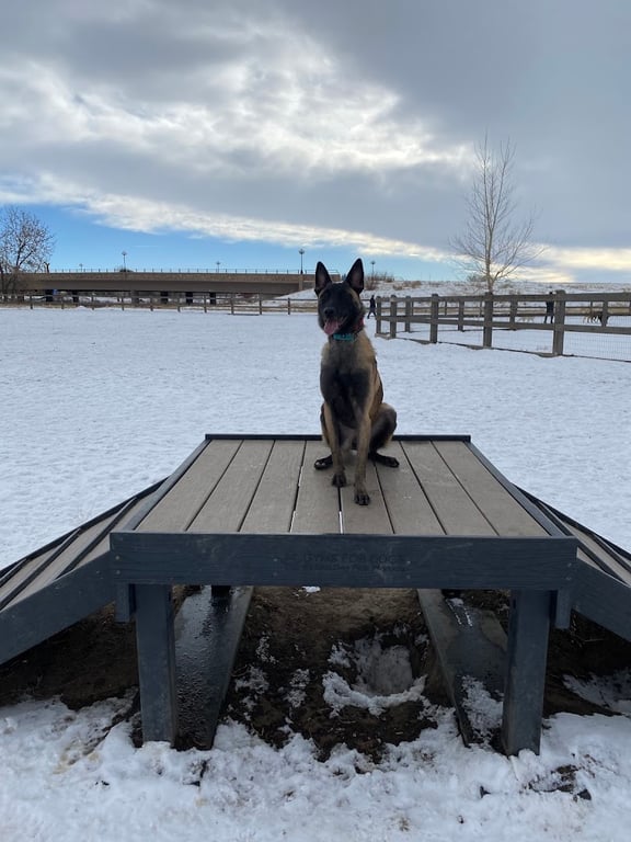 USMC CPL David M. Sonka Dog Park