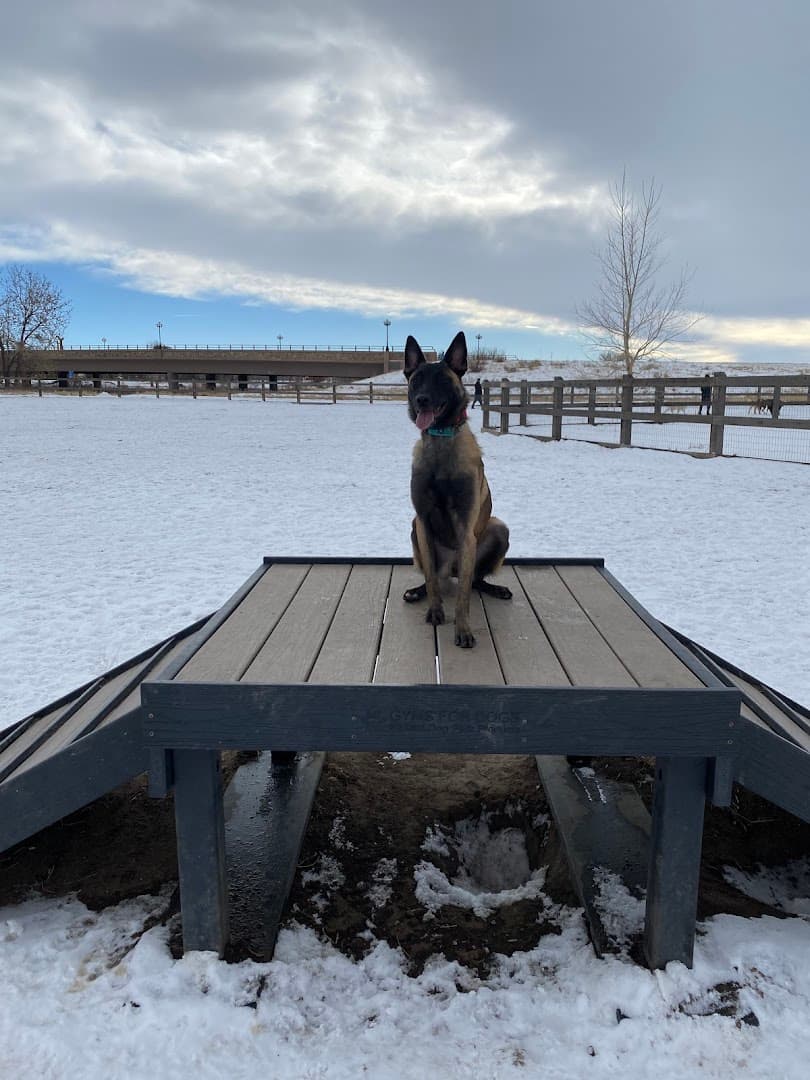 USMC CPL David M. Sonka Dog Park park in Parker, Colorado