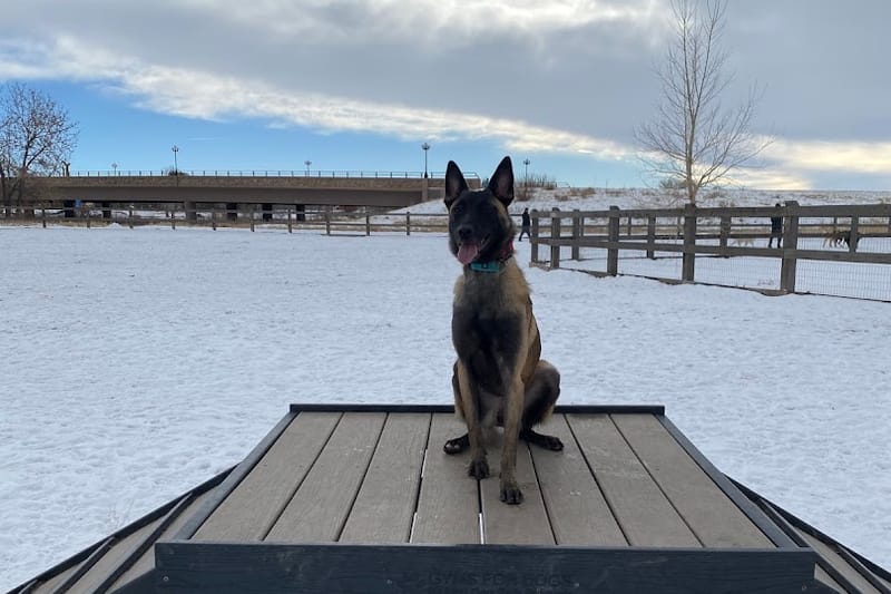 USMC CPL David M. Sonka Dog Park park in Parker, Colorado