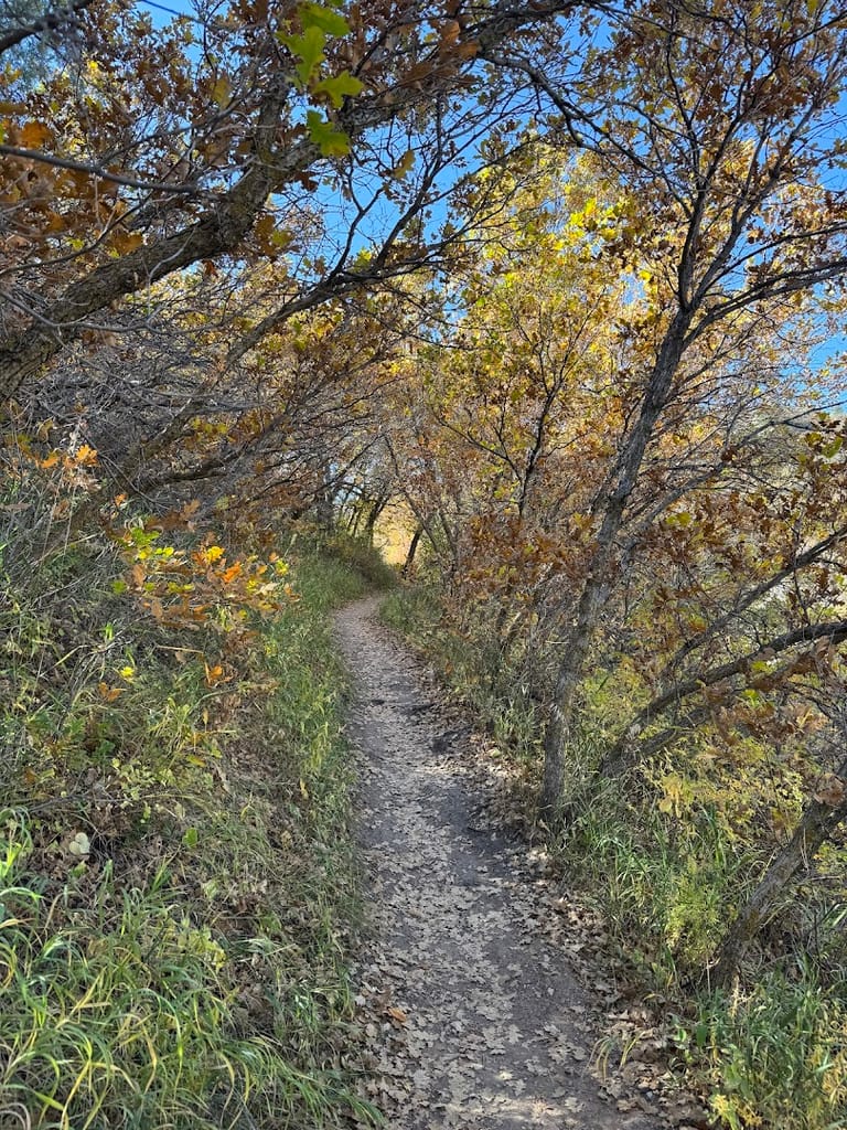 South Rim Trail dining area