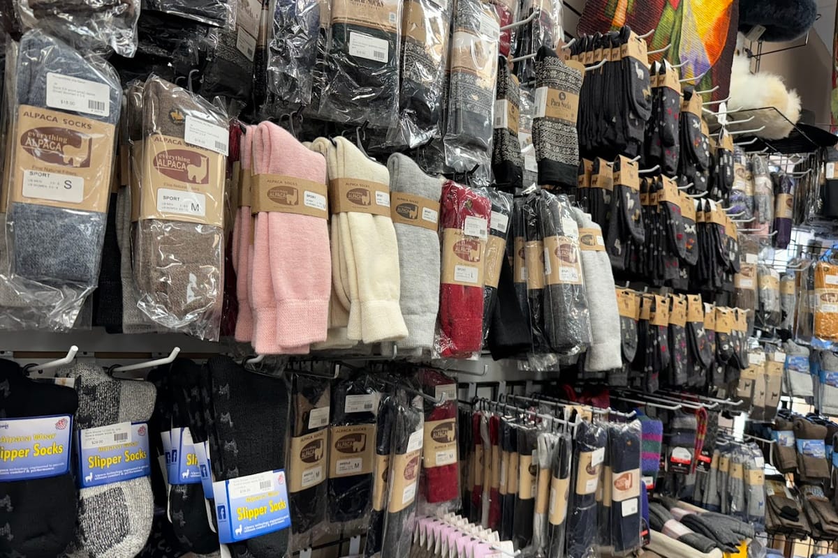 Interior view of Everything Alpaca