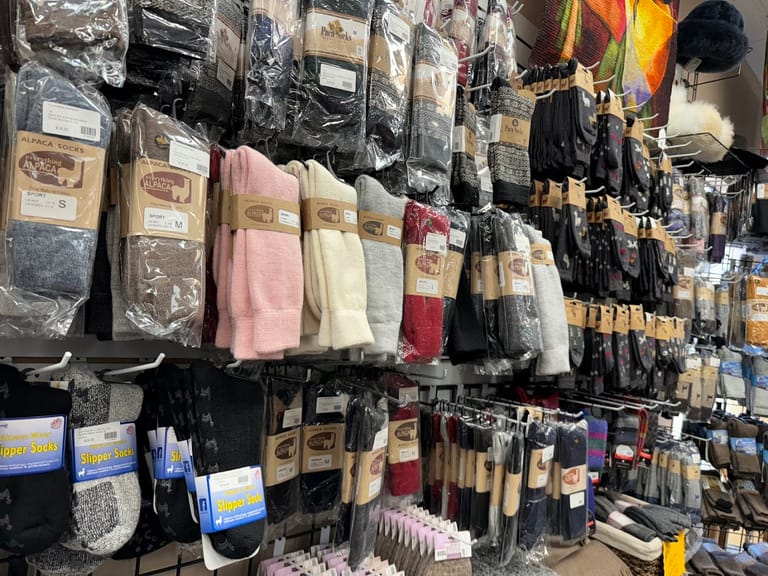 Interior view of Everything Alpaca