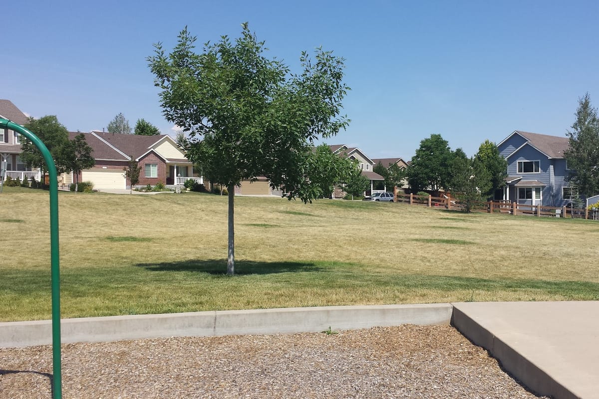 Fire Fly Park featured offerings