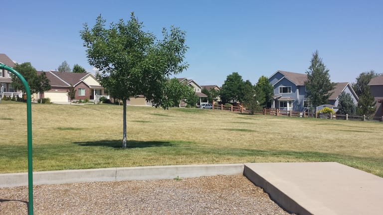 Fire Fly Park featured offerings