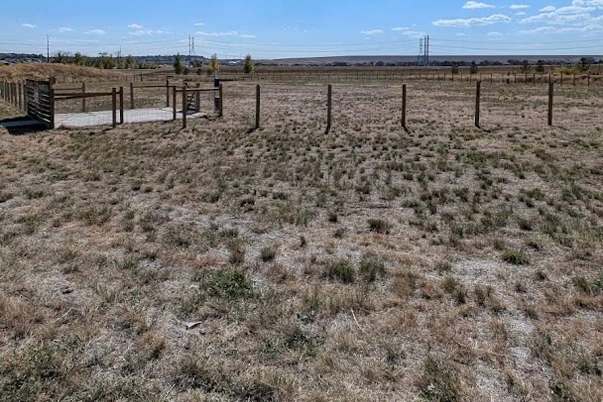 Stepping Stone Dog Park atmosphere and seating